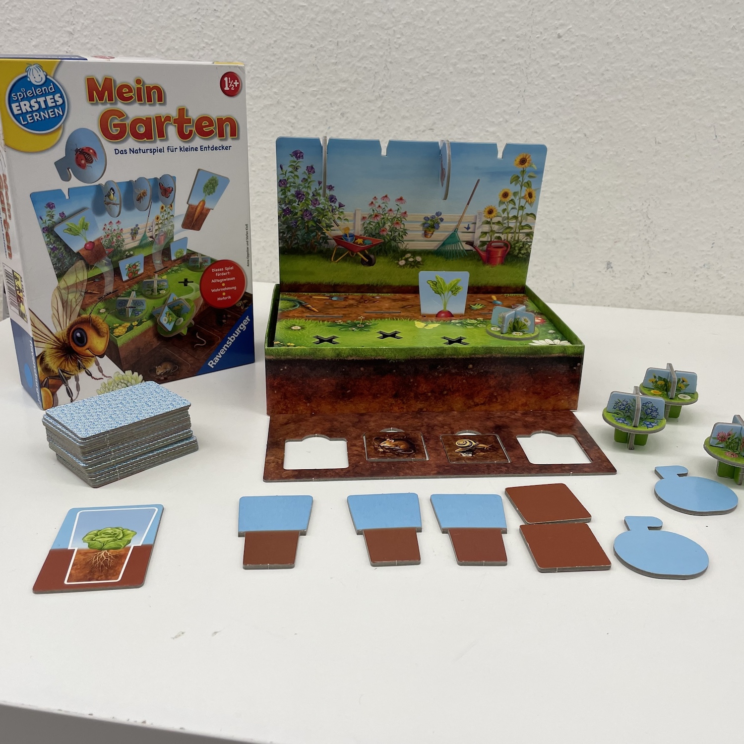 Mein Garten